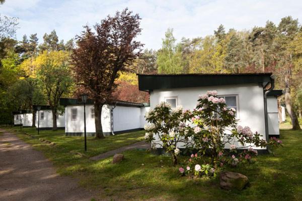 Meeressterne Ferienresort Damerow Koserow Dış mekan fotoğraf
