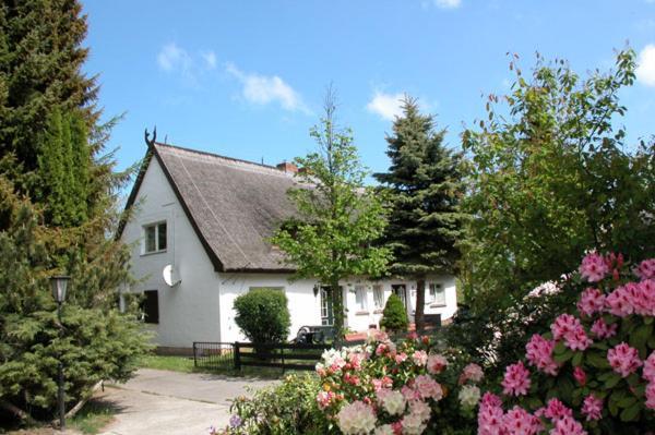 Meeressterne Ferienresort Damerow Koserow Dış mekan fotoğraf